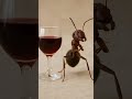 نملة سكرانة بترقص قدام الكاسة ذكاء اصطناعي 
