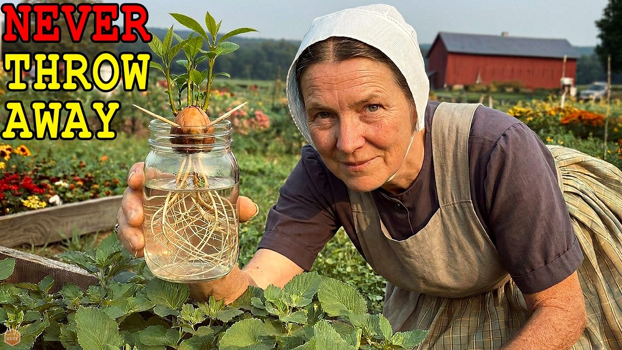 NEVER Throw Them Away! 25 Kitchen Scraps Grandma Used to Regrow Into FREE Food