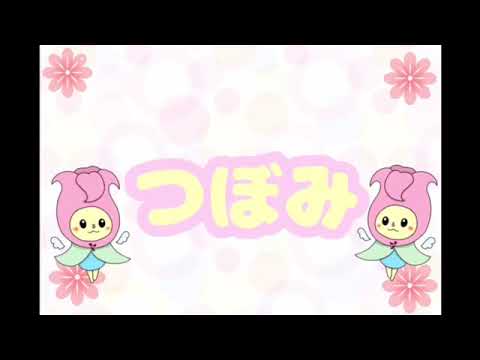とちぎYMCA　高校生ボランティアグループ「つぼみ」　紹介動画