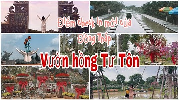 Vườn hồng “Tư Tôn” thành phố Sa Đéc, điểm check in mới ở Đồng Tháp