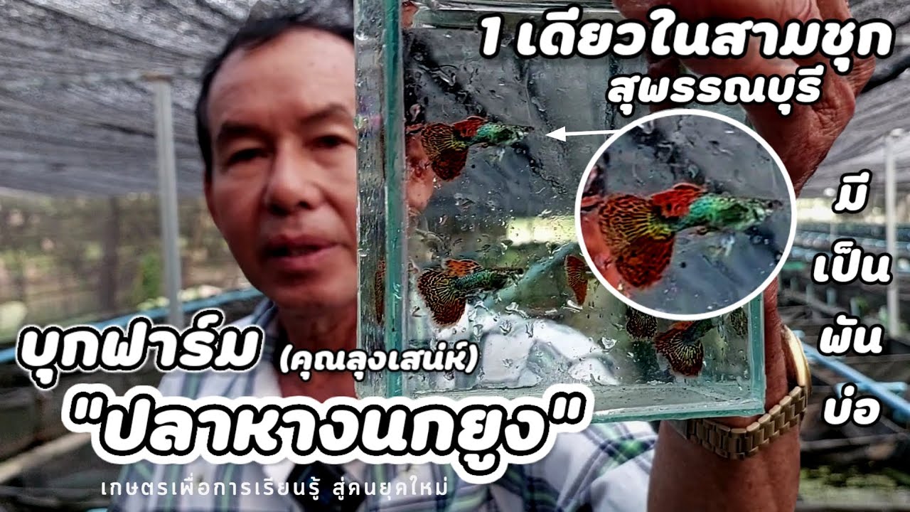 บุกฟาร์ม | คุณลุงเสน่ห์
