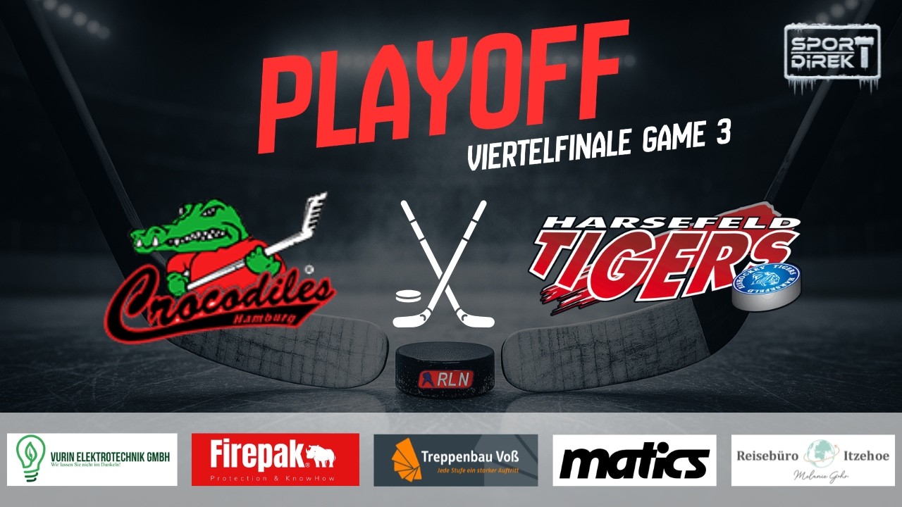 Playoffs Game 3 // Crocodiles Hamburg vs Harsefeld Tigers