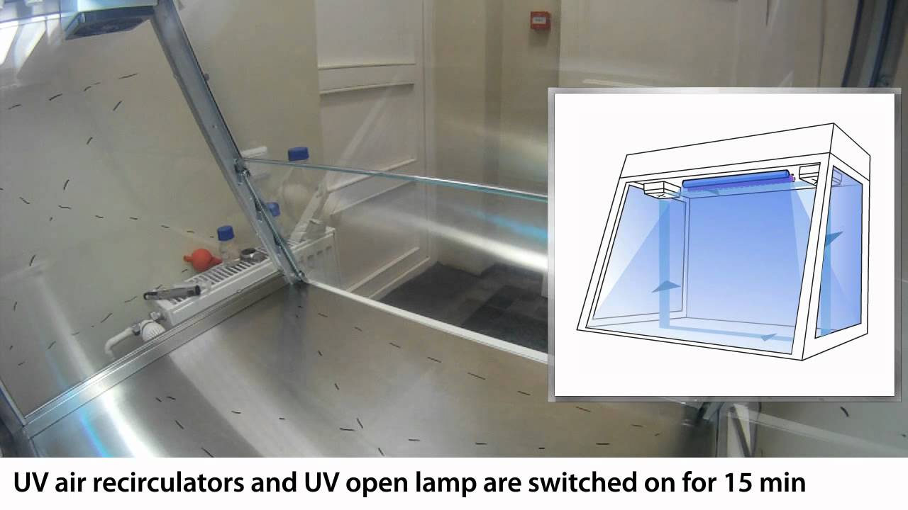Efficiency of DNA amplicons decontamination experiment in Biosan PCR Cabinets