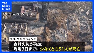 南米チリ森林火災の死者51人に　一部地域に非常事態宣言も｜TBS NEWS DIG