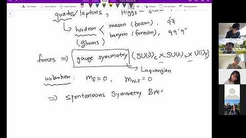 Lectures on Standard Model I: Lagrangian and Effective Field Theories
