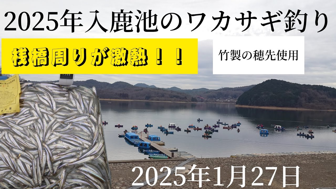 2025年入鹿池のワカサギ釣り。桟橋周りが激熱!!竹製の穂先使用。1月27日