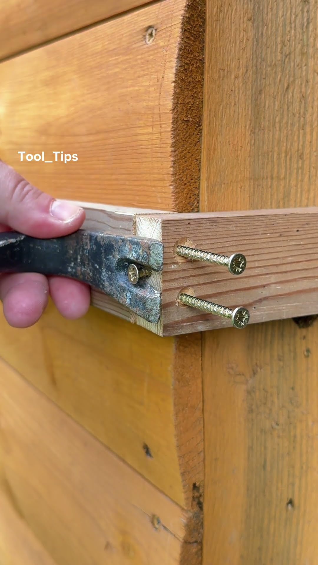 Master Carpenter Tip ?