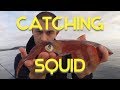 Squid fishing - Squid Fishing for Beginners, rigs, tips and tactics