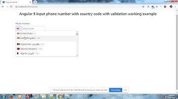 Angular 9 input phone number validation working example