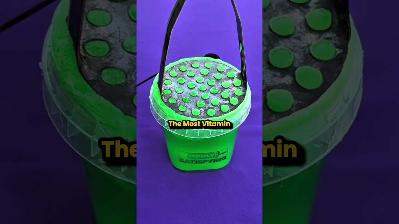 Fun Fact About Fruits 