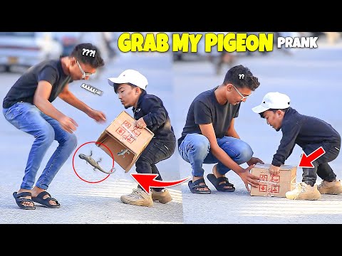 Grab My Pigeon Prank - | @NewTalentOfficial