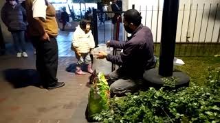 Alimentan gato en parque de Miraflores (10/09/2020)