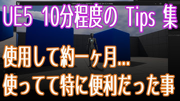 【UE5】使用して約1ヶ月。便利だった機能その1【VOICEVOX 春日部つむぎ】