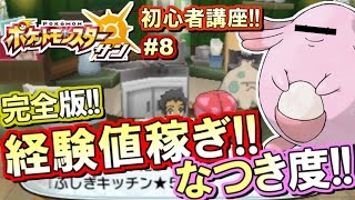 ポケモンsm 初心者講座 ポケモン サンムーン実況プレイ Part8 経験値稼ぎ なつき度編 Youtube