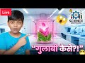 Easy Science Experiment | Magic science experiments #shorts #science #youtubeshorts