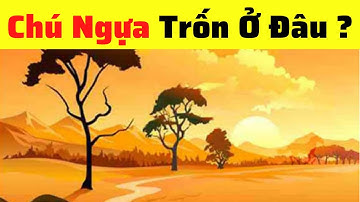 Thử Tài Tinh Mắt. Chỉ 3% Người Có Đôi Mắt 10/10 Mới Trả Lời Đúng 10 Câu Đố Siêu Khó Này