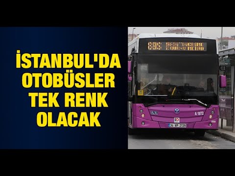İstanbul'da otobüsler tek renk olacak
