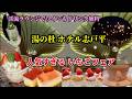 【志戸平温泉】全部食べ放題…いちごフェア！東北最大級ビュッフェ＆ワイン無料がすごい宿