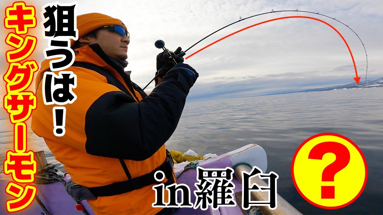北海道、羅臼の海で幻の魚キングサーモンを狙う！