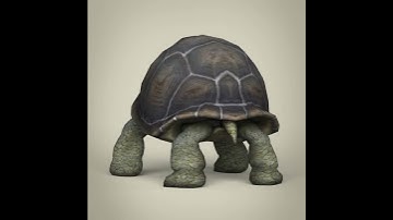 3D Model of Low Poly Realistic Tortoise Review