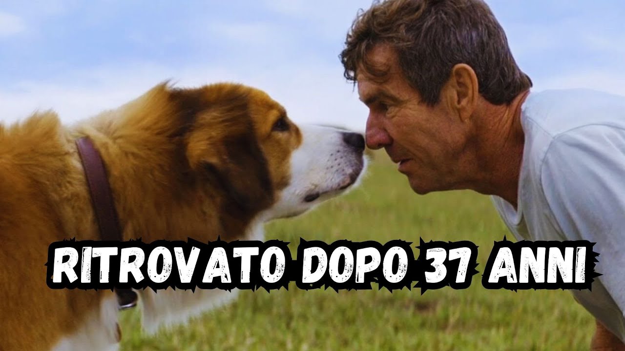Questo cane ha ritrovato il suo padrone dopo 37 anni - YouTube