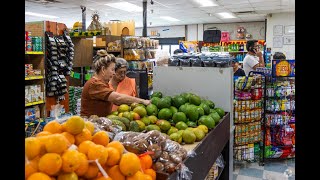 Living in Armenia Gardens, FL: The Ultimate Local Guide | Homes.com