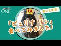 「ピュリナ ワン キャット」ヘルシープログラム紹介