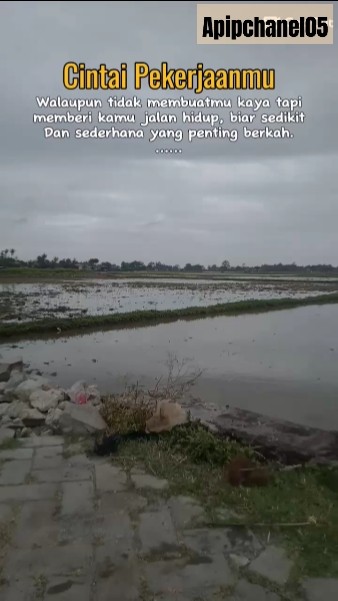 Quotes #katabijakmotivasihidup #katakatabijakislamimotivasi #katamutiara #remix #automobile