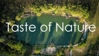 Download Lagu Taste of Nature 7 MP3