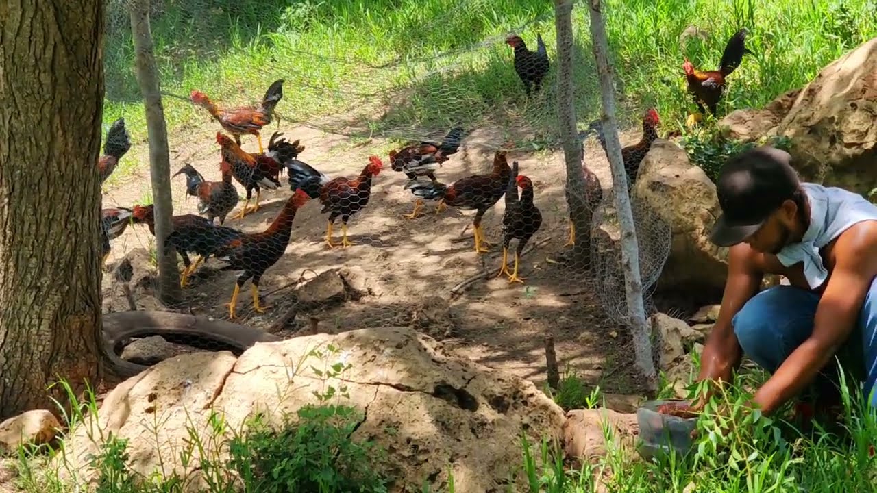 Los Macheros de MP visitando por primera vez