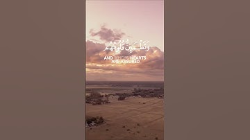 سورة الرعد الآية 28 بصوت القارئ محمد الفقيه