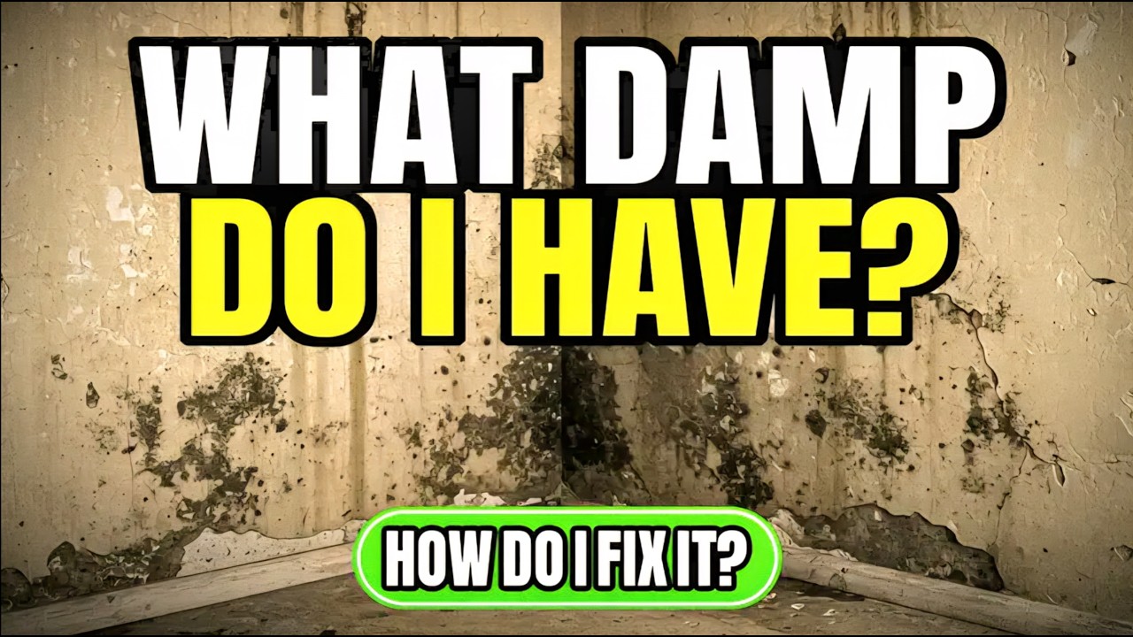 👉 Поднимающаяся сырость, проникающая сырость и конденсационная сырость | Что такое сырость и как ...