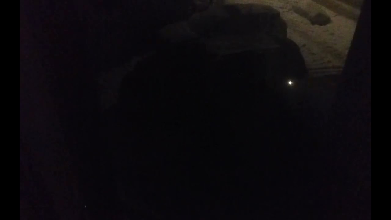 2005 Honda Odyssey EX-L-VI-PS Grand Touring V6 Minivan Automatic With All New License Plates On Its 