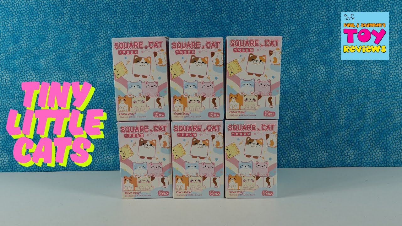 Square Cat Choco Teddy Blind Box Cat Mini FIgure Blind Box Unboxing