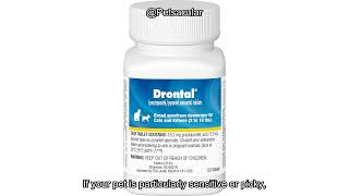 Elanco Drontal Broad Spectrum Dewormer Review: Is It Worth the Investment for Your Cat?