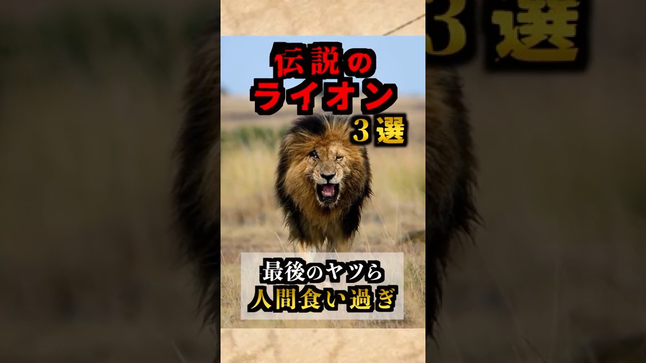 個体名がある伝説のライオンたち 3選