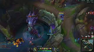 Using W seed to gain permavision on Baron to be able to steal the baron afterwards