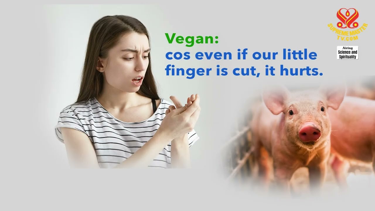 Околосмертные переживания – исследование небес и загробной жизни, часть 2 многосерийного цикла.