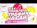 КАК ПРИВЛЕЧЬ ТРАФИК НА САЙТ | 13000 ПОСЕТИТЕЛЕЙ ЗА 1 ДЕНЬ