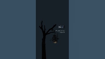 قرآن كريم - حالات واتس اب دينية - تلاوه تريح القلب