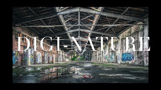 3 minute Infinite Zoom video of Endless entryways and landscapes #wow
