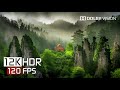 Hidden Wonders in 12K HDR Dolby Vision 🌍