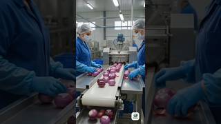 Mass Production of Onion Powder | Modern Food Factory Tour #factory#shorts #shortvideo#onion#powder