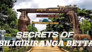 Unknown secrets of BR Hills🫣🤔| Must visit places near mysore 😍| Tiger reserve forest 🫢😱🤫