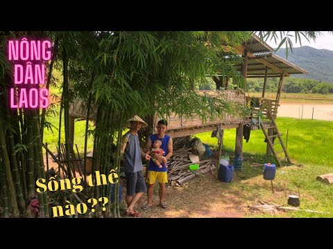 Video Du lịch BỤI tại đất nước LÀO (go backpacking in laos)... - youtube
