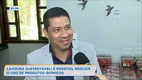 O que poderia ser feito para reduzir a poluição?