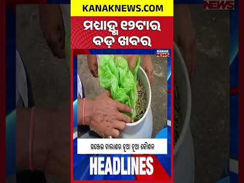 Textbook Errors: Shocking RTI Revelations | Tigress Found Dead in Similipal | 12Noon Headlines