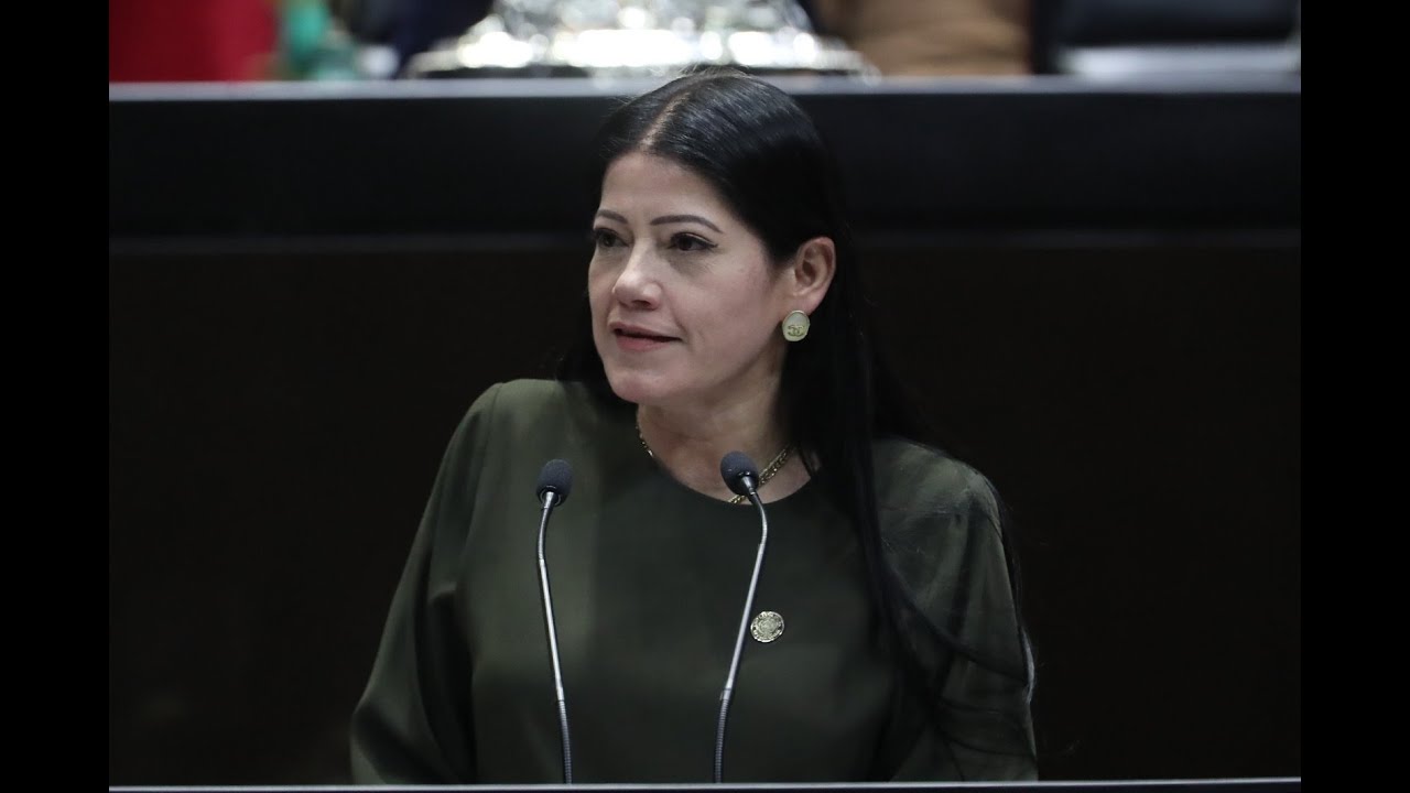 Dip. Celia Esther Fonseca Galicia (PVEM) / Presentación de Iniciativa