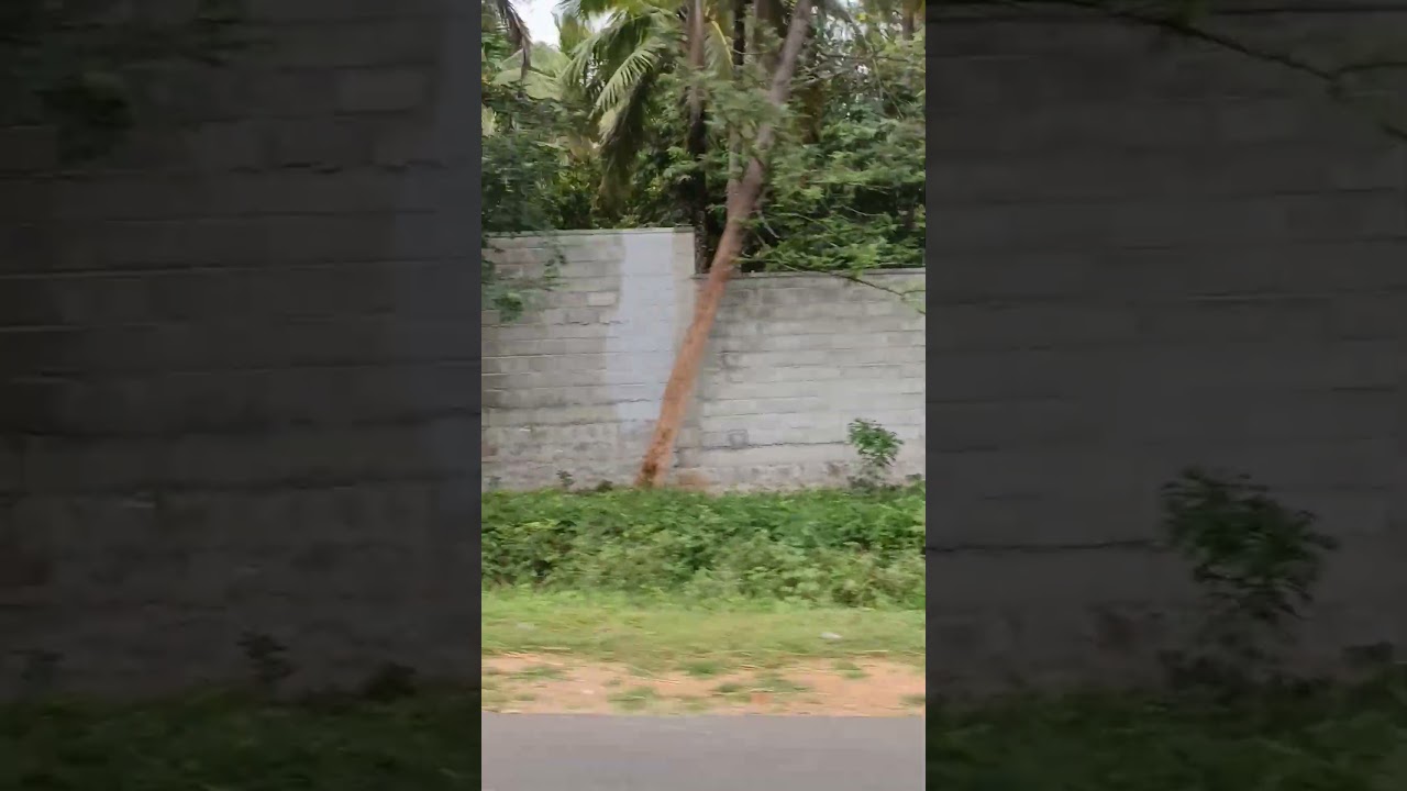 actor Darshan farmhouse