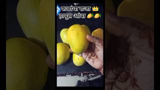 Mango King Hapus | kokan special Mango hapus | Mango variety| आंब्यांचे प्रकार 🥭😋 #shorts